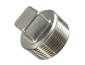 Rvs 316 vierkant plug BSP