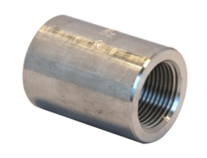 Rvs 304L draadsok NPT 3000 lbs