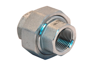 RVS 316L 3 delige koppeling BI/BI NPT 3000#