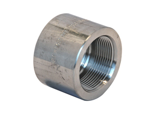 Rvs 316L ronde kap NPT 3000#