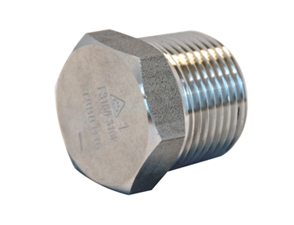 RVS 316L zeskant plug NPT 6000#
